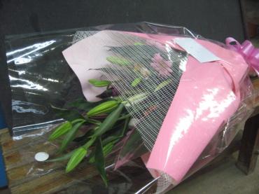 クーラーつけてました｜「一心園」　（東京都昭島市の花キューピット加盟店 花屋）のブログ